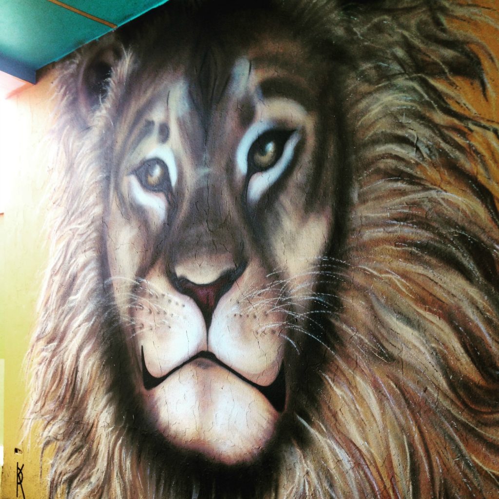 Cecil the Lion street art in Reykjavik, Iceland?