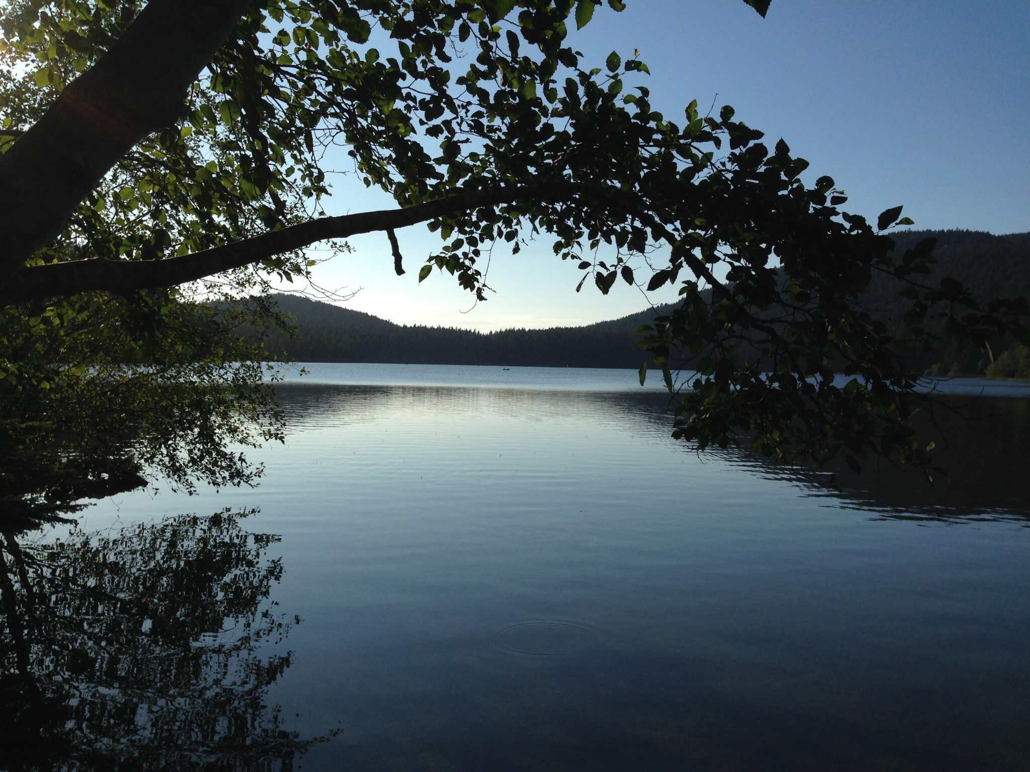 IMG_3640