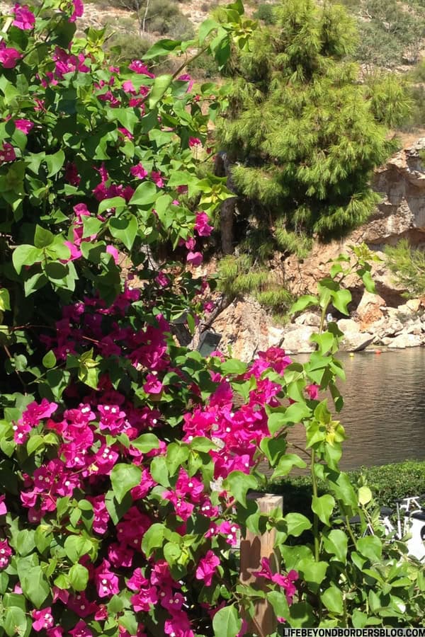 The gorgeous thermal spring waters of Lake Vouliagmenis along the #Athens Riviera, #Greece - LifeBeyondBorders