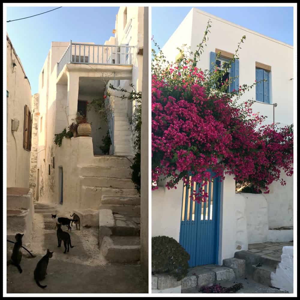 Gorgeous walk up to the Kastro of Astypalea island - Greece