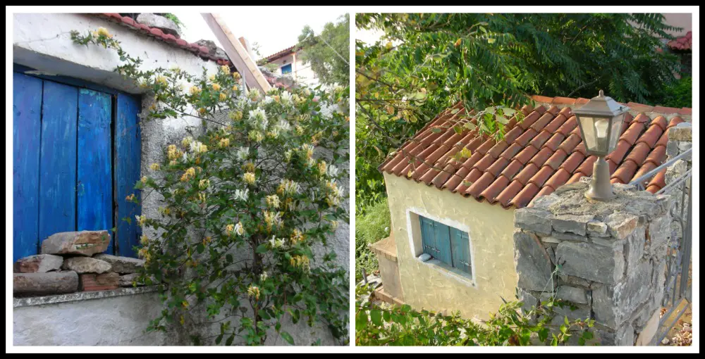 Pretty houses of the Chora of Alonissos island, Greece . Life Beyond Borders