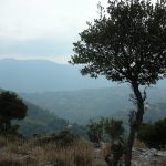 DSCN1120.JPG