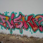 530211480_7f7f18875c_risk
