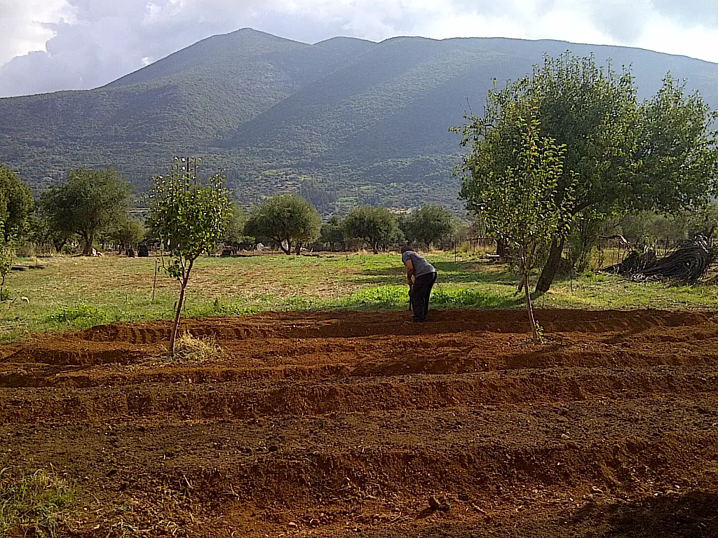 Busy on the farm