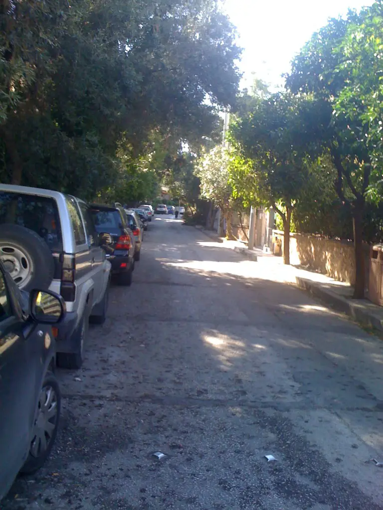 Leafy side street