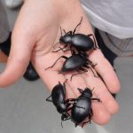 leavingcairo_DSC03874