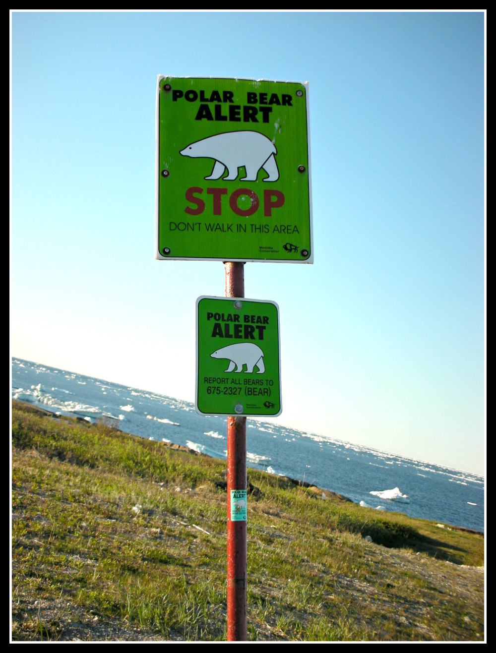 Beware beware the polar bear! Churchill, Manitoba. Life Beyond Borders