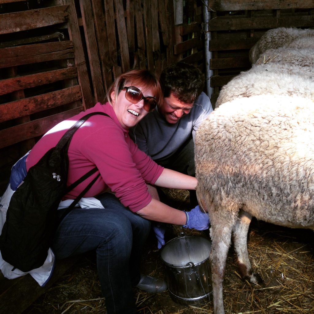 Yes, I even had the opportunity to milk my own sheep! Preparing fresh food with ocally sourced farmers for Montanema Handmade Village