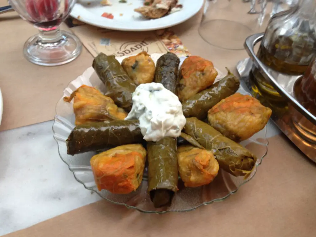 Dolmadakia stuffed grape leaves and flower of courgette with tzatziki