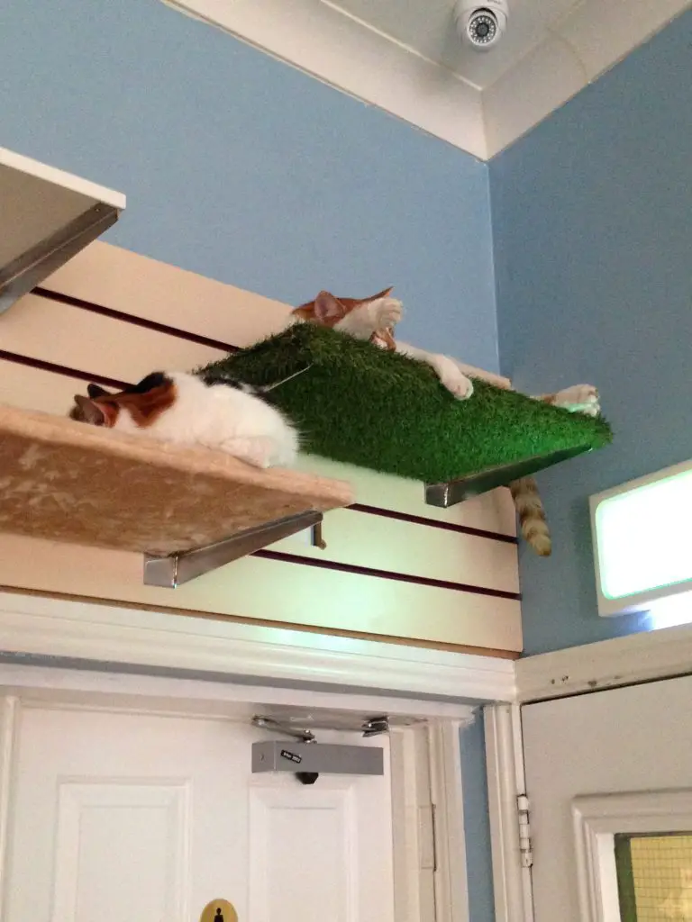 Don't wake me up!