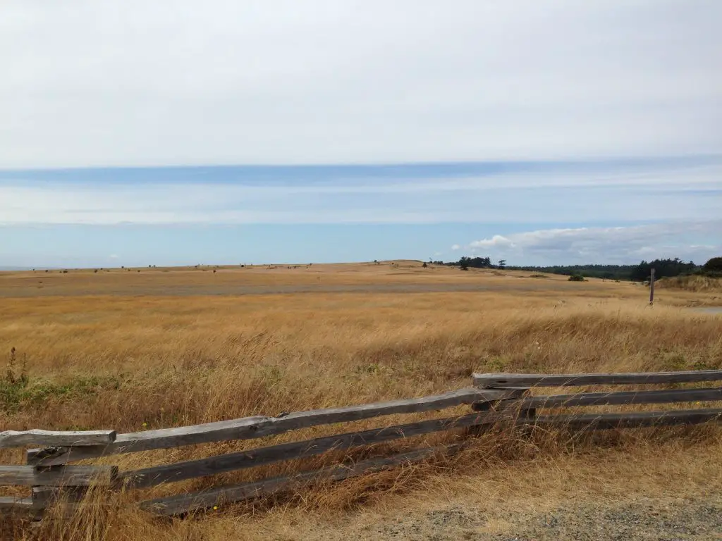 The bleak prairie of American Camp on San Juan Island, PNW - LifeBeyondBorders