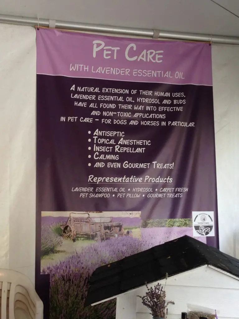 One of the many products on offer to buy at Pelindaba Lavender Farm - LifeBeyondBorders