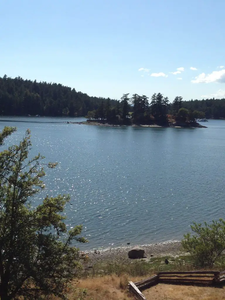 View from English Camp, Garrison Bay, San Juan Island, PNW. LifeBeyondBorders