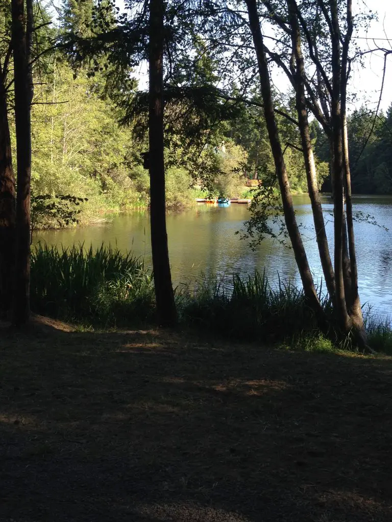 Swim, fish, paddleboard or relax - it's up to you. Lakedale Resort in the Pacific Northwest is just perfect. LifeBeyondBorders