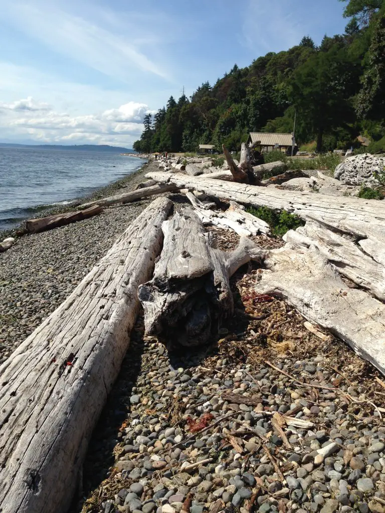 Beach trail