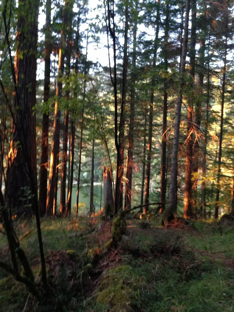 View to the lake sitting outside my Wanderlust tent in Moran State Park