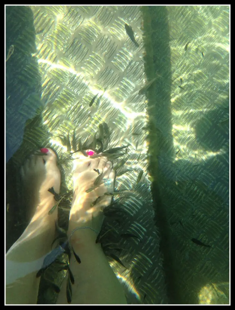 Being nibbled by Garru fish at Vouliagmenis Lake along the #Athens Riviera, #Greece - LifeBeyondBorders