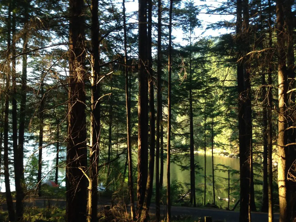 Cascade Lake peaking through the trees at my 'glampsite' in Moran State Park