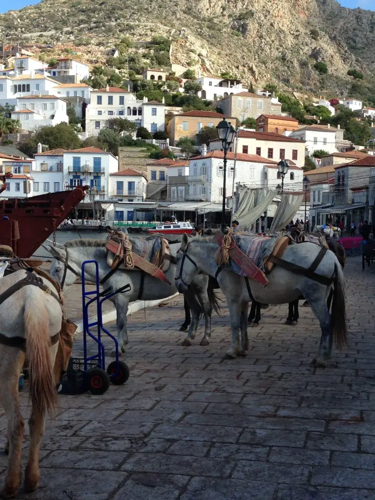 It's a donkey's life. Everyday scene on Hydra - the first stop on Olympic Cruise's One Day, Three Islands cruise. LifeBeyondBorders