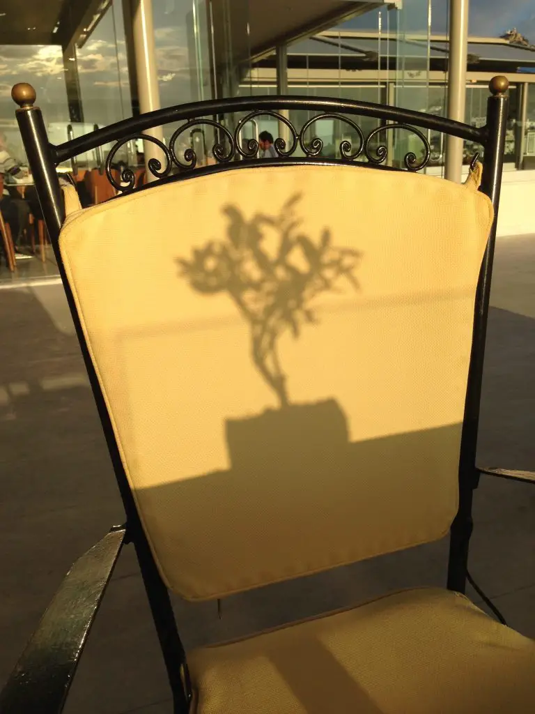 Great shot of the shadow of an olive tree at the Olive Garden - Titania Hotel