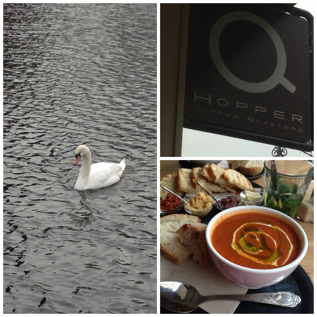 Wildlife and delicious lunch in North Rotterdam