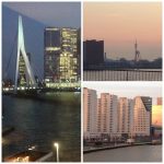 Rotterdam evening