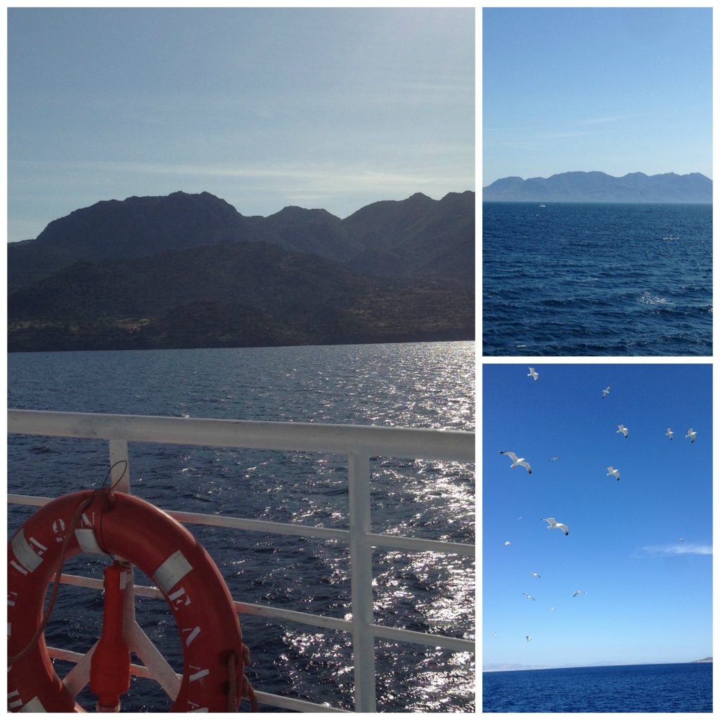 The journey to Poros and Live-Bio