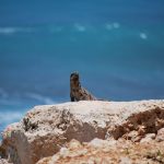e835b60a2af6033ecd0b470de7444e90fe76e6d21bb4164595f4c3_640_Cancun