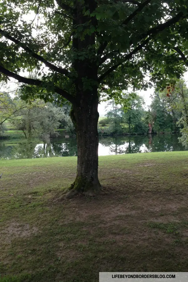 View from the terrace of my Big Berry Glamping home to the Kolpa River... Croatia is the other side - LifeBeyondBorders