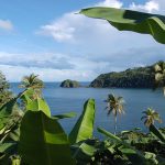 1879286176_c134d59c2d_Dominica