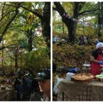 jazz-in-the-forest-lifebeyondbordersblog