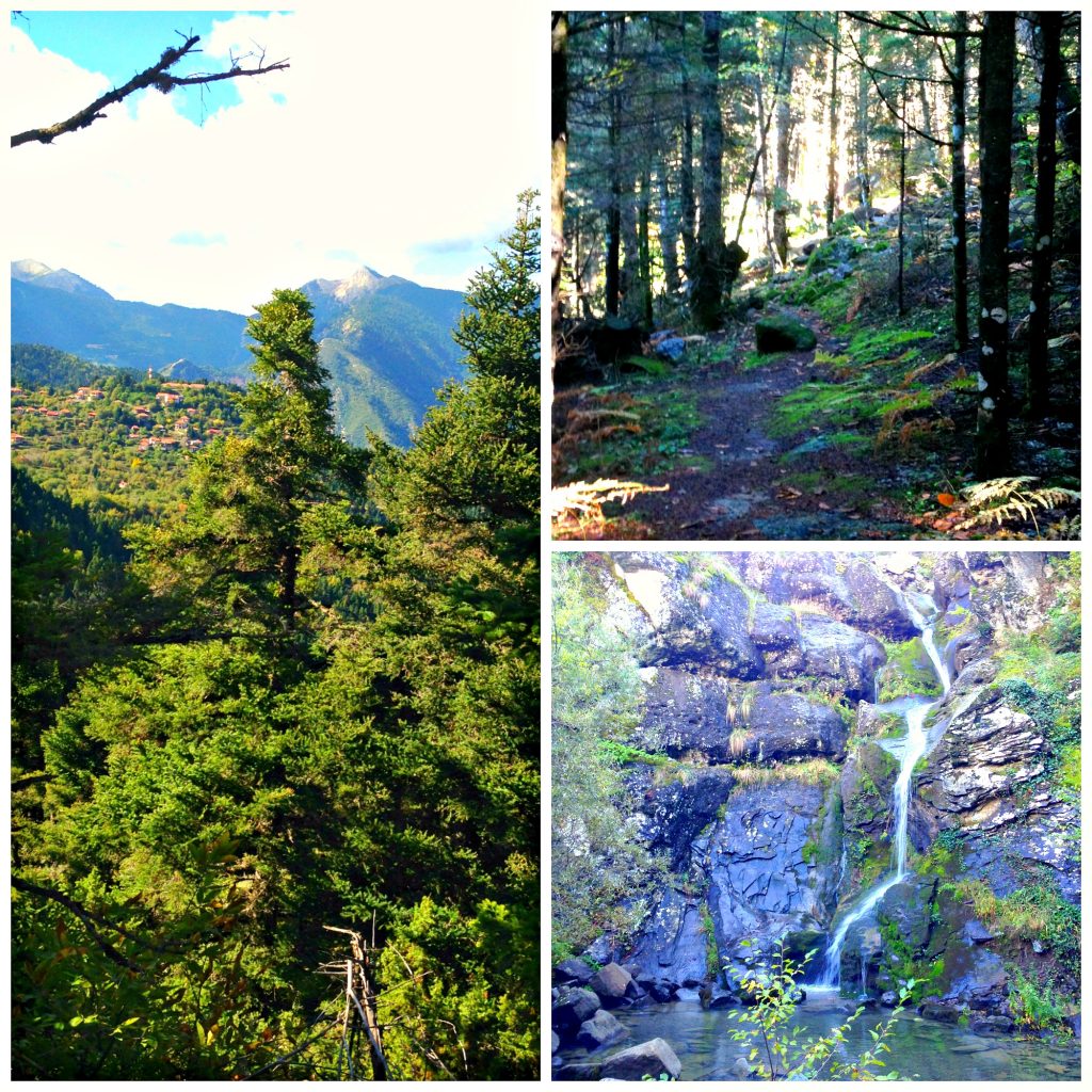 Walking through the forest in Orini Nafpaktia - jazz music gave way to a small waterfall