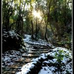 Hiking in Pelion in the snow – LifeBeyondBorders