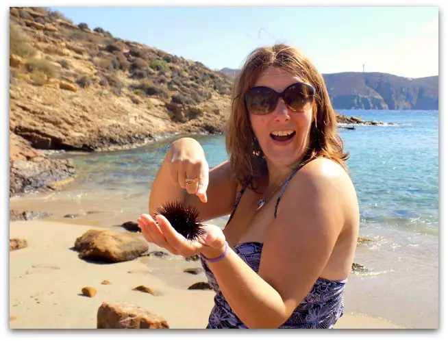Sea urchin found with Mykonos Kayaking, Mykonos, Greece. Life Beyond Borders