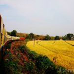 Train Travel Myanmar Golden Fields Apenoni.com