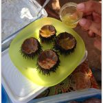 Trying the sea urchins – LifeBeyondBorders