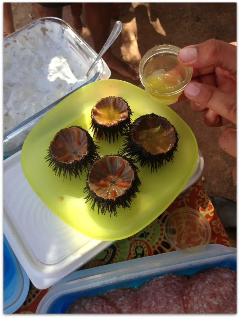 Trying the sea urchins with Mykonos Sea Kayak. Life Beyond Borders