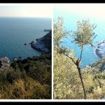 Views when hiking Mount Pelion – LifeBeyondBorders