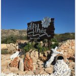 Althea Boutique Apartments – Amoopi beach – Karpathos – LifeBeyondBorders