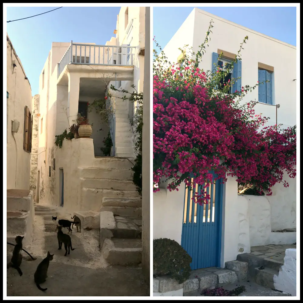 Gorgeous walk up to the Kastro of Astypalea island - Greece. Life Beyond Borders