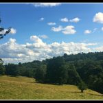 A gorgeous walk around Hawarden Estate – North Wales – LifeBeyondBorders