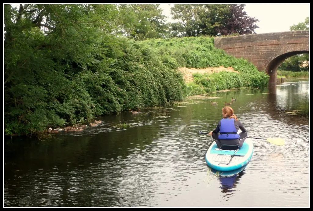 Enjoying the wildlife whilst paddle boarding along the Grand Western Canal - Devon - LifeBeyondBorders