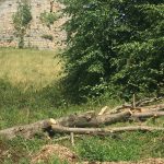 Hawarden Estate and Old Castle – LifeBeyondBorders