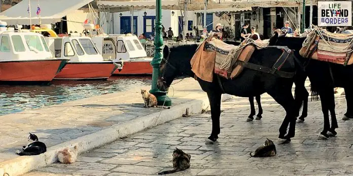 Hydra Island, Greece. Where no cars exist