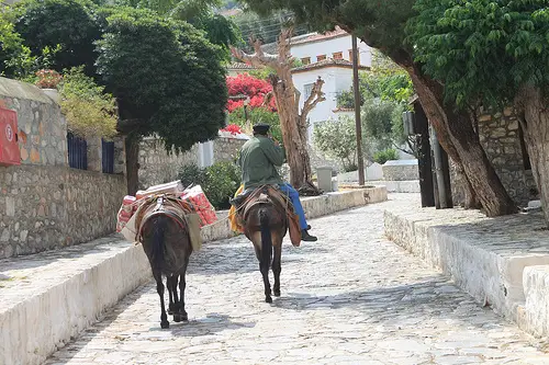 A local going about his business on Hydra island, Greece. Life Beyond Borders