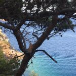 Avlaki Bay – Hydra Island – Greece