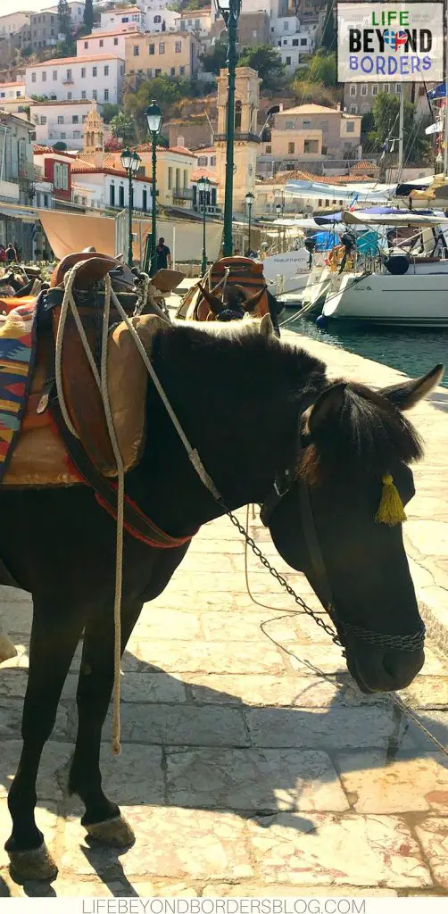 Donkey ready to take tourists to their hotel on Hydra Island, Greece where there are no cars