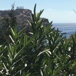 Temple of Poseidon from Grecotel Cape Sounio Exclusive Resort, Greece – LifeBeyondBorders