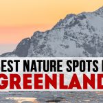 Best Nature Spots in Greenland – LifeBeyondBorders Photo © Markus Trienke