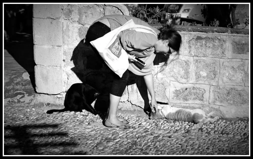 Cat sunning itself on the cobbled streets of Rhodes Old Town - Greece. Life Beyond Borders